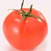 tomatomato80