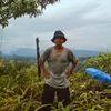 donniwahyuandono