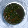 andy_ausm_aquarium