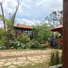 gerimis.senja19