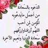dy833nxpmgs3