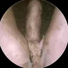 tuonganh3835