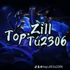 top.zill.tu2306