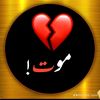 user2477539011401