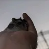 dypzurvu5eb1
