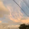 nadiajoe01