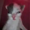 motngaybuonzz