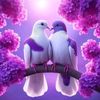 elham3103