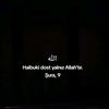 34_vanli_65