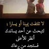 waelalenzy367