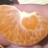 nargiza_5782