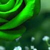 notme_7210