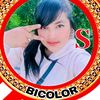 shelyta.sctc