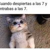 mente.friaaa