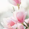 kiscsillag0_0