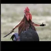 aliradiatori