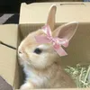 summerwatermelonxx