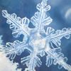 yournotspecialsnowflake