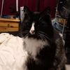 william0404891