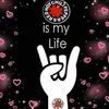 mir_rhcp
