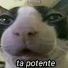 deide_costa_pra_sua_mae