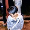 _crocodiloo