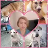 user8320548702170