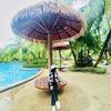 verachantika609