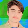 raimubshar113