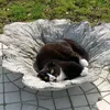 boris008007