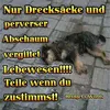 ilonaritascholz
