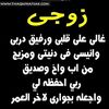 nouraali6541