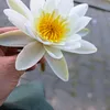 andaioana0218