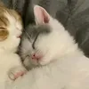 momochills