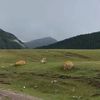 jab_4567