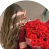 amira_0.09