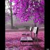 al_a_nod