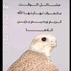 aeeaad2
