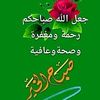 sayed mostafa atwi