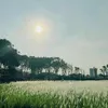 t_yn_a