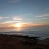 camaro_369