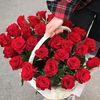 farah14620435677