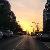 shira_kedemm