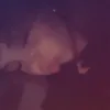 leoniequeen44