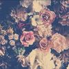 asyl_08.1994