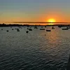 paulics21