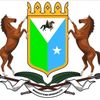 mohmedfarsamo11