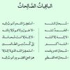 nourhanmouhammed2