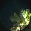 unity69800