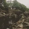 ironhandwolf